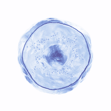 Virtual Cells preview