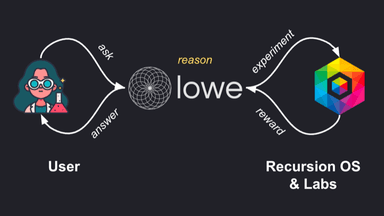 LOWE preview